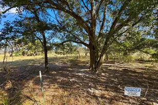 9434 Holnwon Ct, Hudson, FL 34667 - Photo 73