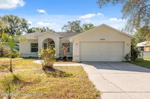 10290 Adler St, Spring Hill, FL 34608 - Photo 3
