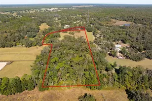 15218 Norris Bishop Loop, Brooksville, FL 34614 - Photo 27