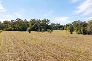 15218 Norris Bishop Loop, Brooksville, FL 34614 - Photo 25