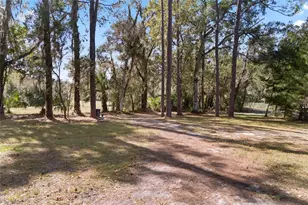 15218 Norris Bishop Loop, Brooksville, FL 34614 - Photo 23