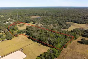 15218 Norris Bishop Loop, Brooksville, FL 34614 - Photo 29
