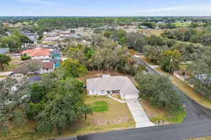 270 Planter Rd, Spring Hill, FL 34606 - Photo 43