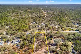 14247 Hurricane Dr, Weeki Wachee, FL 34614 - Photo 9