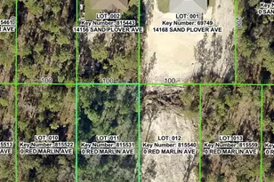Lot 11 Red Marlin Ave, Weeki Wachee, FL 34614 - Photo 1