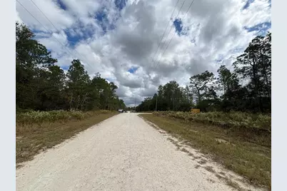 Lot 11 Red Marlin Avenue, Weeki Wachee, FL 34614 - Photo 5