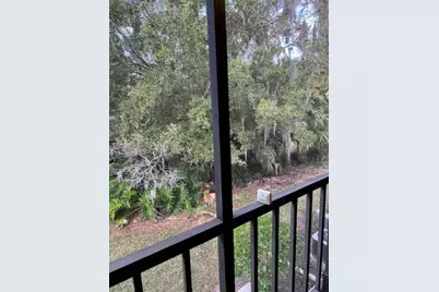 122 Cypress Lane #122, Oldsmar, FL 34677 - Photo 37