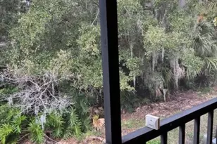 122 Cypress Ln, Oldsmar, FL 34677 - Photo 37