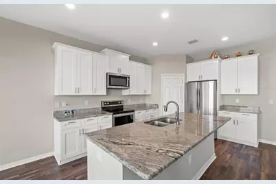 446 Alpine Thistle Drive, Brooksville, FL 34604 - Photo 11