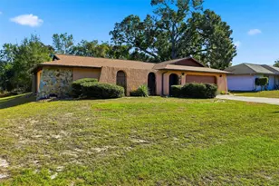 1248 Tyler Ave, Spring Hill, FL 34606 - Photo 3