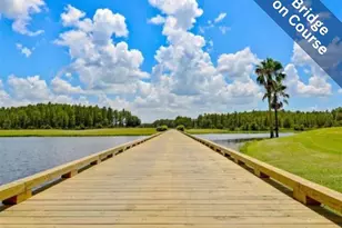 1331 Trimaran Pl, Trinity, FL 34655 - Photo 37
