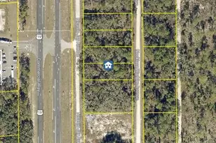 Lot 16 Necklace Warbler Ave, Weeki Wachee, FL 34614 - Photo 1