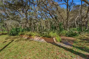 11130 Chicago Ave, New Port Richey, FL 34654 - Photo 17