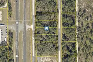 Lot 15 Nicasio Jay Ave, Weeki Wachee, FL 34614 - Photo 1