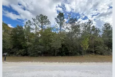 Lot 19 Canyon Swallow Road, Weeki Wachee, FL 34614 - Photo 3