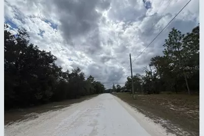 Lot 19 Canyon Swallow Road, Weeki Wachee, FL 34614 - Photo 5