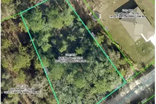 Lot 19 Canyon Swallow Rd, Weeki Wachee, FL 34614 - Photo 1