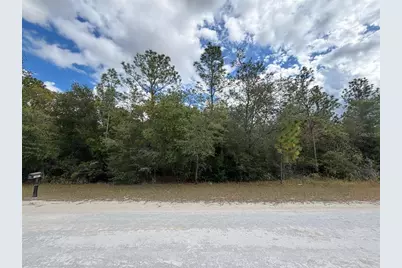 Lot 17 Canyon Swallow Road, Weeki Wachee, FL 34614 - Photo 3