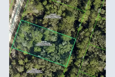Lot 17 Canyon Swallow Road, Weeki Wachee, FL 34614 - Photo 1