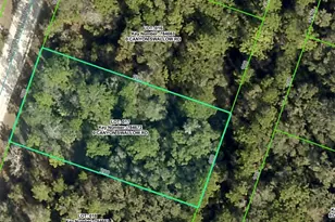 Lot 17 Canyon Swallow Rd, Weeki Wachee, FL 34614 - Photo 1