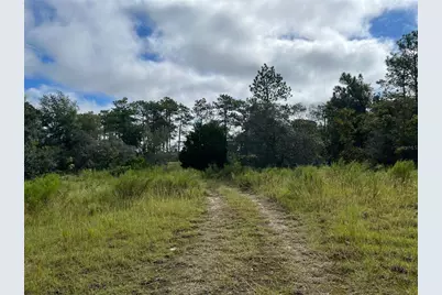 13154 Flaccus Court, Brooksville, FL 34613 - Photo 3