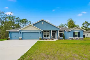 14351 Carolina Chickadee Rd, Weeki Wachee, FL 34614 - Photo 1