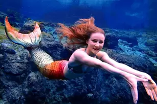 5261 Circle Dr, Weeki Wachee, FL 34607 - Photo 9