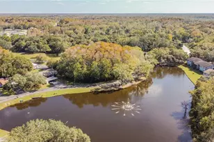 11536 Baywood Meadows Dr, New Port Richey, FL 34654 - Photo 47