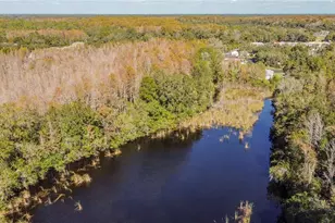 11536 Baywood Meadows Dr, New Port Richey, FL 34654 - Photo 53