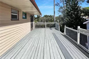 1631 Plaza Pl, Tarpon Springs, FL 34689 - Photo 11