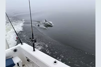 Lot 1 Flexer Drive, Hernando Beach, FL 34607 - Photo 7