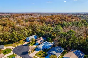 11446 Sinatra Ct, New Port Richey, FL 34654 - Photo 43