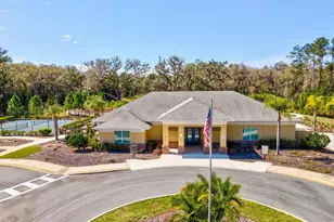 5219 Cappleman Loop, Brooksville, FL 34601 - Photo 47