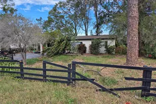 4945 Green Key Rd, New Port Richey, FL 34652 - Photo 3