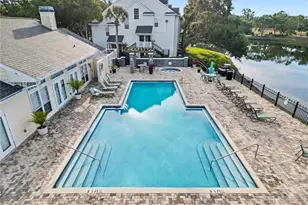 3313 Haviland Ct, Palm Harbor, FL 34684 - Photo 15