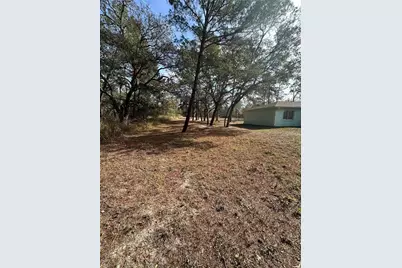 7425 Mandrake Road, Weeki Wachee, FL 34613 - Photo 31