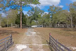 15031 Bailey Hill Rd, Brooksville, FL 34614 - Photo 3