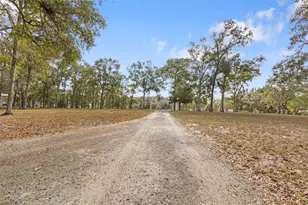 15031 Bailey Hill Rd, Brooksville, FL 34614 - Photo 21