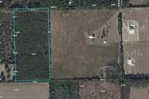 0 SW 42nd Pl, Trenton, FL 32693 - Photo 1