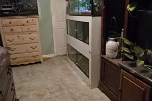 1821 Knollwood Dr, Holiday, FL 34690 - Photo 13