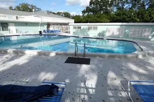 2001 Greenbriar Blvd, Clearwater, FL 33763 - Photo 25