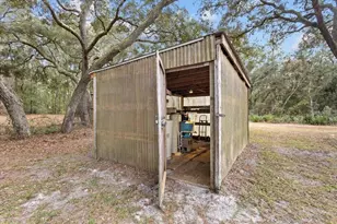 455 NE 441st Ave, Old Town, FL 32680 - Photo 23