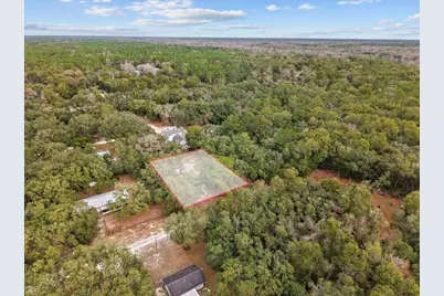 455 NE 441 Avenue, Old Town, FL 32680 - Photo 3