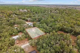 455 NE 441st Ave, Old Town, FL 32680 - Photo 3