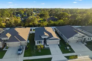 3843 Autumn Amber Dr, Spring Hill, FL 34609 - Photo 29