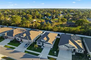 3843 Autumn Amber Dr, Spring Hill, FL 34609 - Photo 31