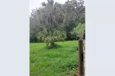 130th Street, Belleview, FL 34420 - Photo 3