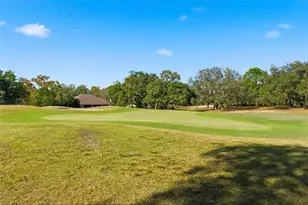 31 Ryewood Cir, Homosassa, FL 34446 - Photo 79