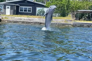 13121 Beacon Ct, Hudson, FL 34667 - Photo 83