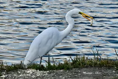 13121 Beacon Court, Hudson, FL 34667 - Photo 77